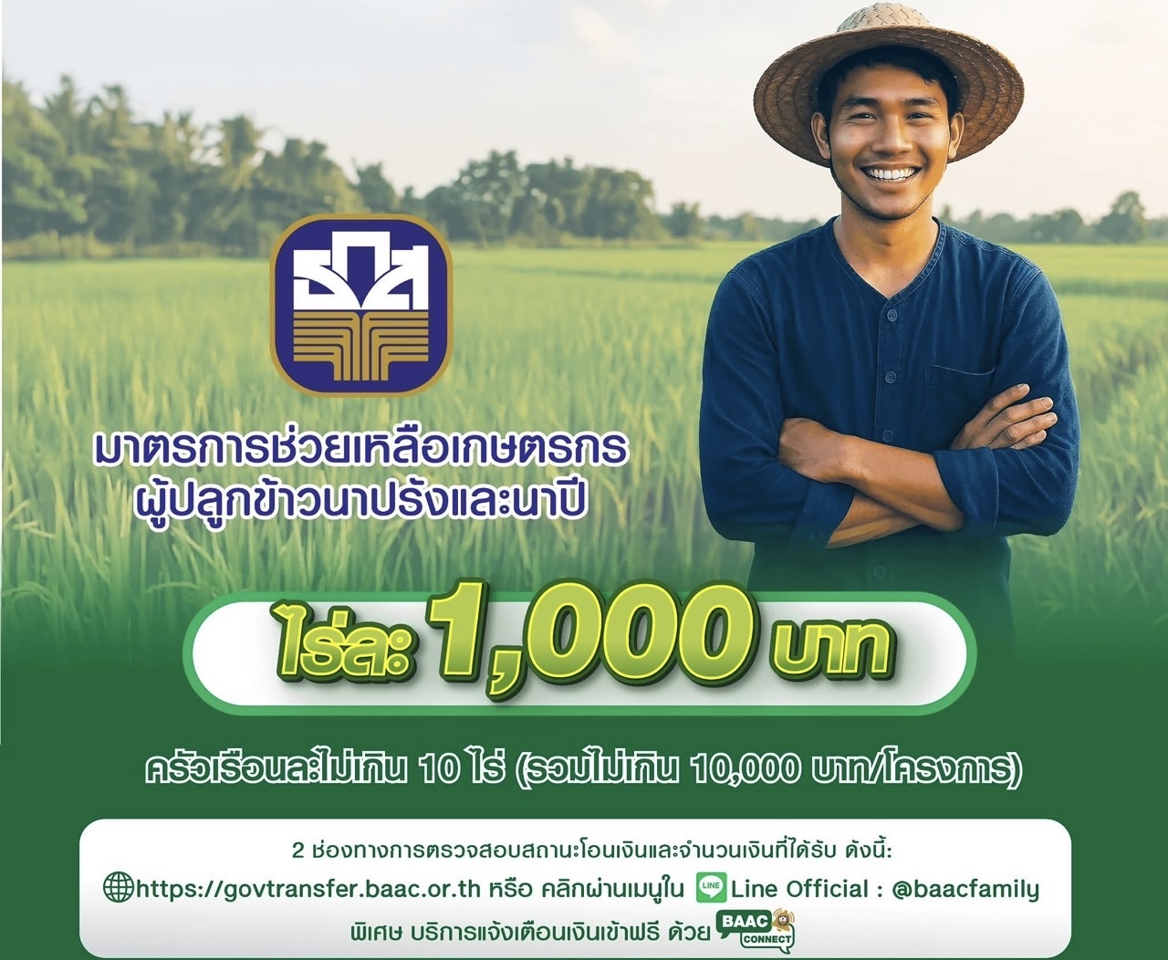 ธ.ก.ส. เดินหน้าช่วยเหลือเกษตรกรผู้ปลูกข้าวนาปรัง-นาปี ไร่ละ 1,000 บาท พร้อมจัดมาตรการรักษาเสถียรภาพราคาข้าวเปลือก กรอบวงเงินรวมกว่า 5 หมื่นล้านบาท