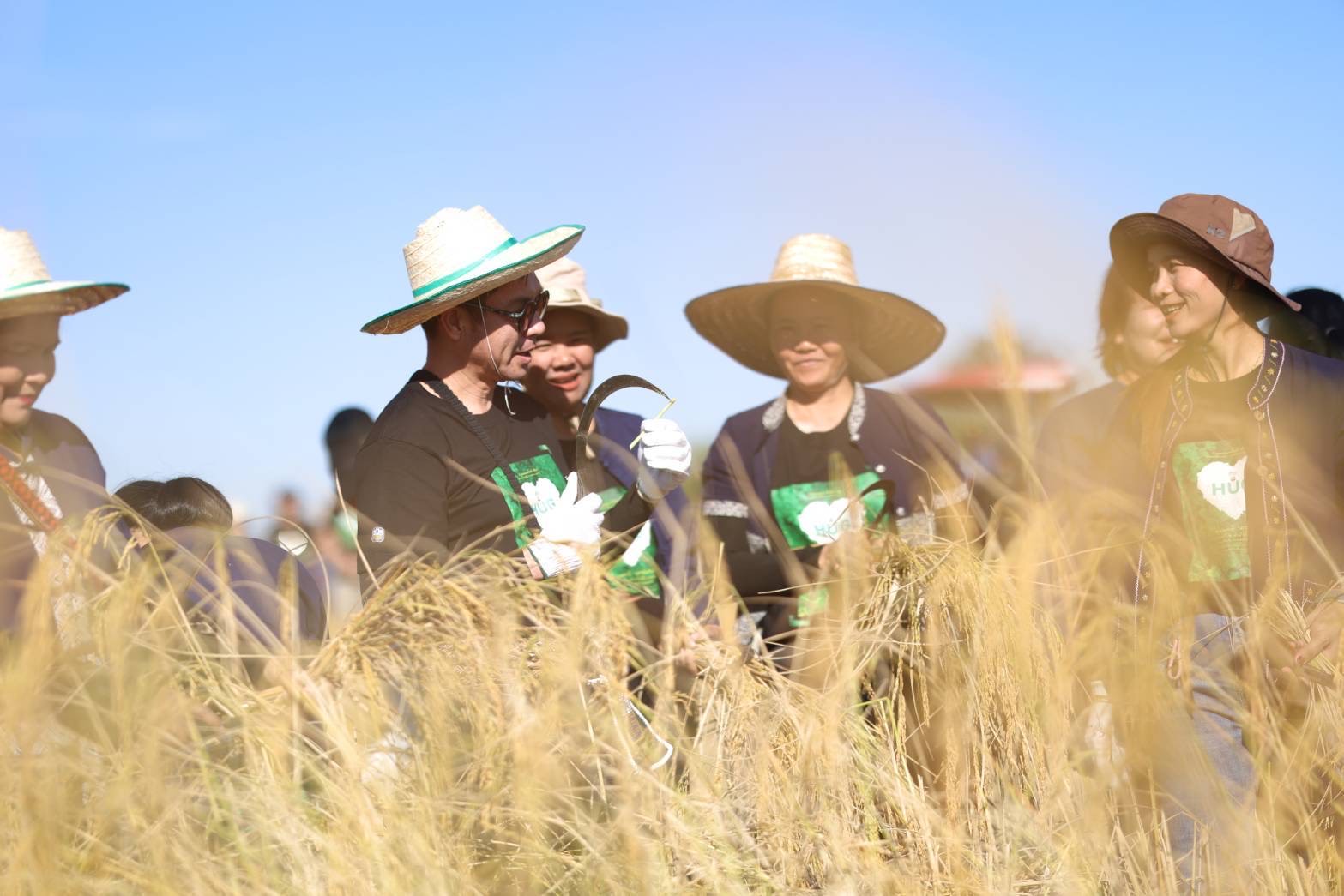 ธ.ก.ส. เปิดตัวโครงการข้าวลดโลกร้อน ลดการปล่อยก๊าซมีเทนในนาข้าวเดินหน้าสู่เป้าหมาย Carbon neutrality